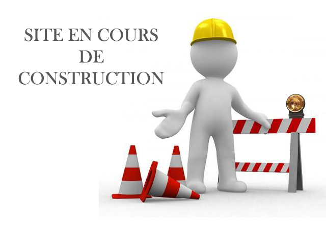 Construction en cours